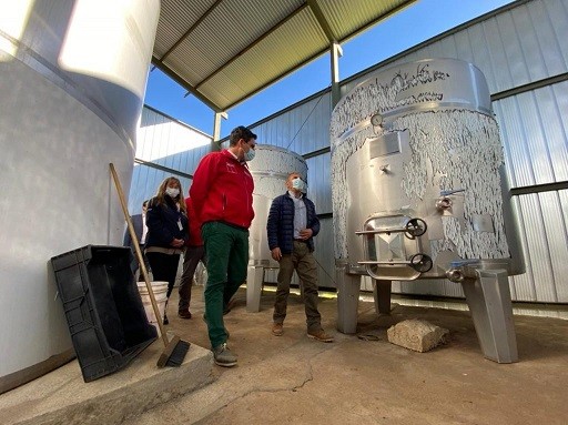 Por primera vez viñateros de la región del Biobío contarán con seguro agrícola con subsidio estatal