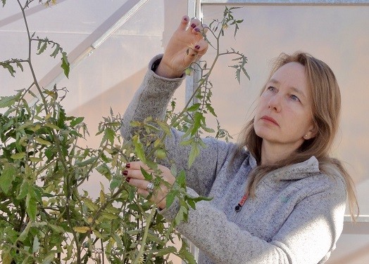 Nace ABSA, Agrupación por la Biotecnología y la Sostenibilidad Alimentaria