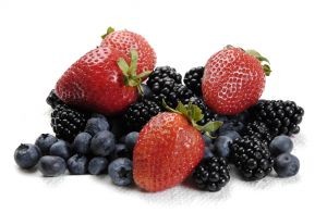 ProChile Los Ríos abre oportunidades para emprendedores de Berries en India y Dubai