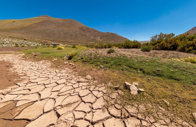 PRESIDENTE DE FEDEFRUTA: “HAY UNA SUERTE DE ESTADO DE SHOCK EN EL MUNDO AGRÍCOLA Y FRUTÍCOLA” POR LA SEVERIDAD DE LA CRISIS HÍDRICA