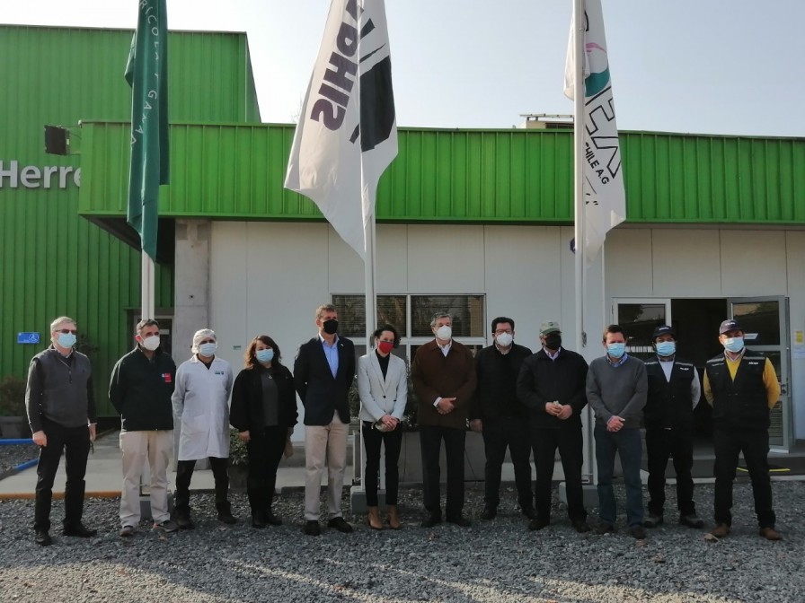 Embajador de EEUU (s) y representantes de USDA-APHIS, ASOEX y SAG visitan Sitio de Inspección de Lo Herrera