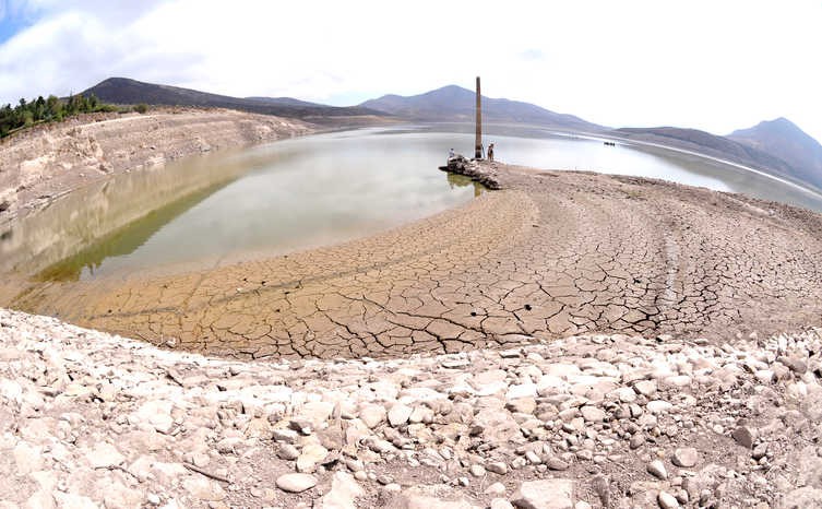 Cambio climático al agro local: Palta y vides serán los cultivos más afectados