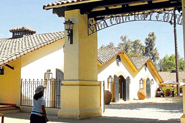 Concha y Toro revela el desempeño de sus vinos premium a tres años de su reenfoque