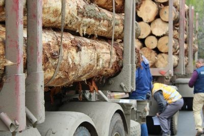 Exportaciones regionales de la Araucanía llegan a USD 63,8 millones