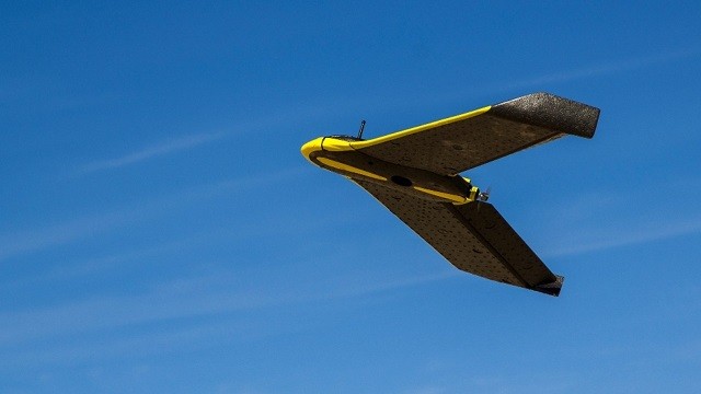 Usan drones e inteligencia artificial para estimación temprana de producción de tomate industrial