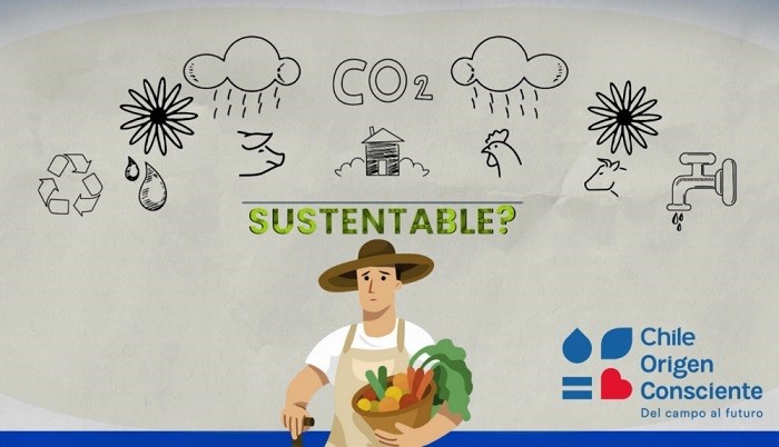 A UN AÑO DE SU LANZAMIENTO: PROGRAMA CHILE ORIGEN CONSCIENTE PRESENTA AVANCES Y NOVEDADES