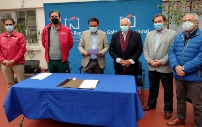 Invertirán más de $ 1.500 millones para enfrentar plagas que afectan a vides, cerezas y berries en Ñuble