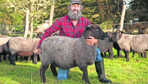 Sellos de origen: una oportunidad para destacar los productos singulares del sur