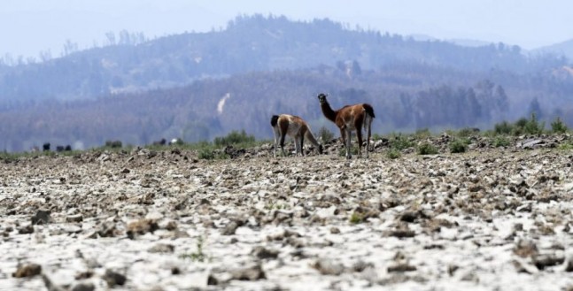 Ministra de Agricultura: “Las lluvias en esta época son siempre bienvenidas, pero no logran suplir el gran déficit que hay en la mayoría del país”