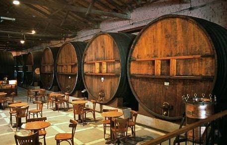 ProChile lanza catálogo de 60 viñas para la nueva categoría “vinos de nicho”