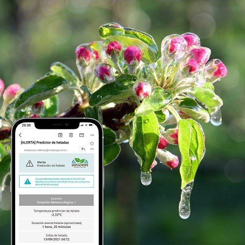 Las heladas tardías podrían dejar de ser un problema para los agricultores gracias a la inteligencia artificial