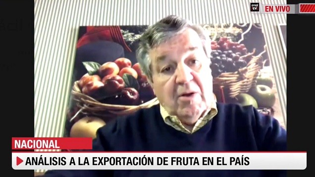 Presidente de ASOEX ante falta de Trabajadores: “Nuestro rubro trabaja con perecibles. No puede esperar. Esperamos contar con una visa temporal para migrantes, si no, la situación podría ser crítica”