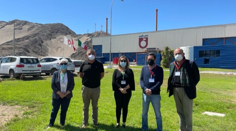 ASOEX y APECO analizan avances de Systems Approach para uva de mesa e instalación de Sitio de Inspección SAG –USDA-APHIS en Atacama