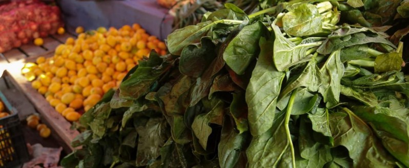 Ministra Undurraga llama a reducir las pérdidas y desperdicios de alimentos promoviendo iniciativas y medidas a escala local