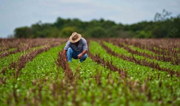 Asociatividad y cooperativismo han sido clave en Biobío por la pandemia