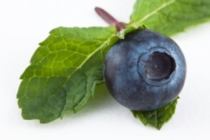 Envíos chilenos de frutas orgánicas crecen 8% en valor: Arándanos lideran alza
