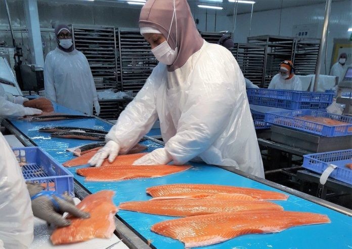 Estos son los principales exportadores chilenos de salmónidos a Agosto de 2021