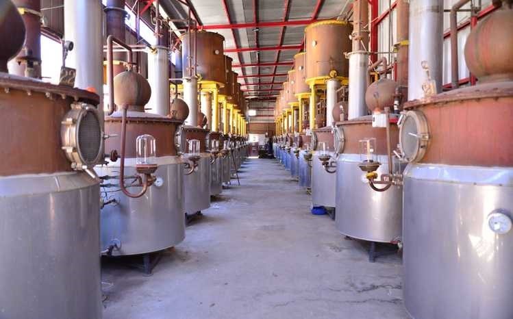 Destraban recursos para iniciar Plan de Protección y Promoción Internacional del Pisco