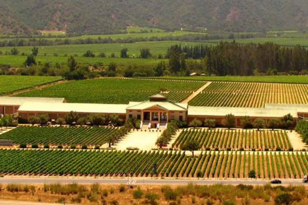 Holding español adquiere la totalidad de viñedos Veramonte y Neyen Apalta State