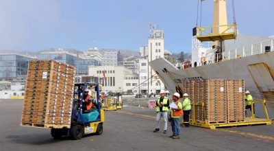 Envíos de fruta fresca chilena alcanzan 2,3 millones de toneladas entre enero y septiembre