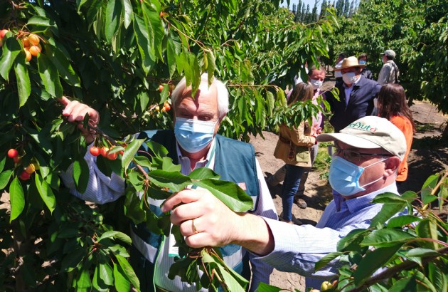 FEDEFRUTA Y SAG INICIAN LA TEMPORADA 2021-2022 DE CEREZAS EN O’HIGGINS
