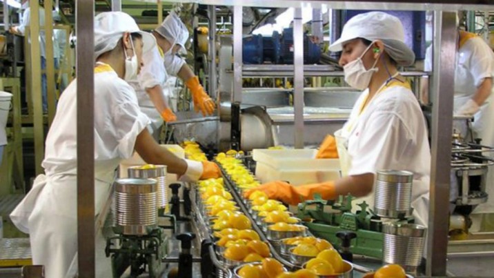 Emprendedora agrícola ayuda a productores frutales a mejorar la calidad con nuevo sistema de chequeo