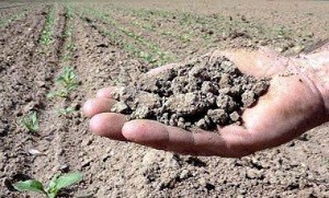 Chile: Se mantiene déficit general de precipitaciones en torno a -30%