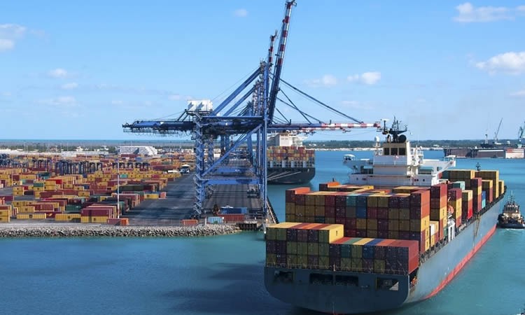 Exportaciones de productos lácteos acumulan una caída de 7,1% al tercer trimestre, sumando envíos por US$ 147,9 millones