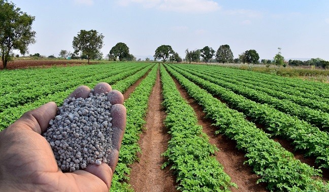 Baja Disponibilidad y Altos Precios de Fertilizantes y Fitosanitarios: un incierto panorama de cara al 2022