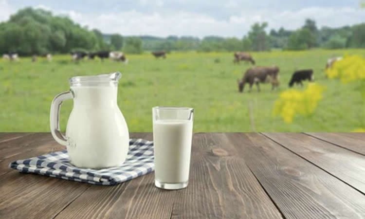 Informe del USDA destaca fortaleza del consumo doméstico de productos lácteos en Chile y ve presión a la producción interna a raíz de la sequía