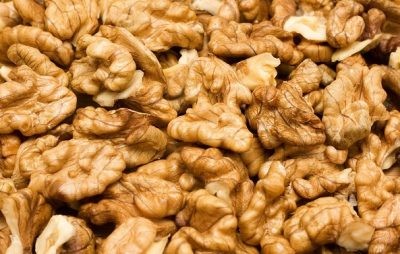 Exponut 2021: industria del nogal crece 320% y es la segunda especie más plantada en el país