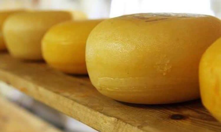 Impulsadas por los quesos, las importaciones lácteas siguen al alza al tercer trimestre y en litros equivalente suben un 23,0%