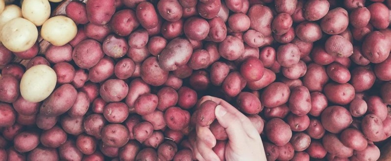 Las últimas tres temporadas del cultivo de la papa muestran una relativa estabilidad en el mercado