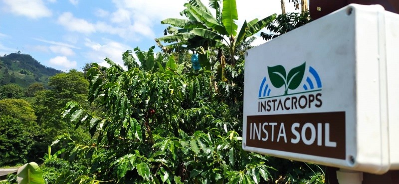 Tecnología chilena que maximiza la productividad de los cultivos aterriza en Colombia 