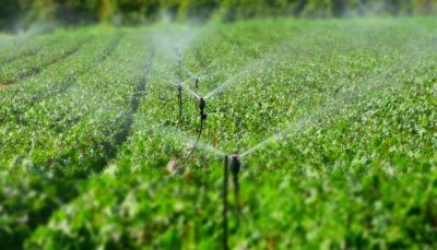 Sondeo de Regando Futuro: Falta de agua para producir alimentos principal preocupación de pequeños agricultores