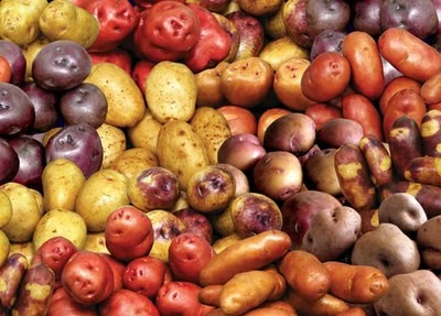 Las exportaciones de papas se reducen en Chile un 54% mientras las importaciones crecen un 61%
