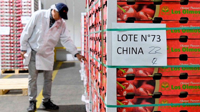 Exportación de alimentos chilenos se adapta al consumo de China