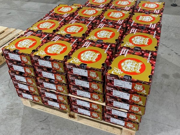 Llegan a Cantón los primeros envíos de cerezas de la recién constituida H Export Una poda y un aclareo cuidadosos han mejorado el calibre y el color de la nueva cosecha de cereza chilena