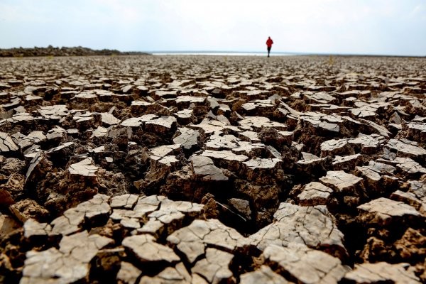 Se prevé que el próximo año sea uno de los más cálidos de la historia