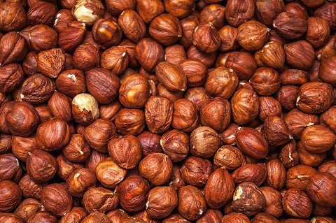 Agronomía UdeC firma segundo convenio de colaboración con Ferrero Hazelnut Company
