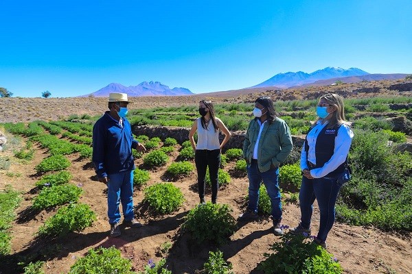 Ministra Undurraga en la región de Antofagasta: “Tenemos que aprender de estos territorios y de lo que hacen de forma ancestral para enfrentar la escasez de agua y en un clima extremo”