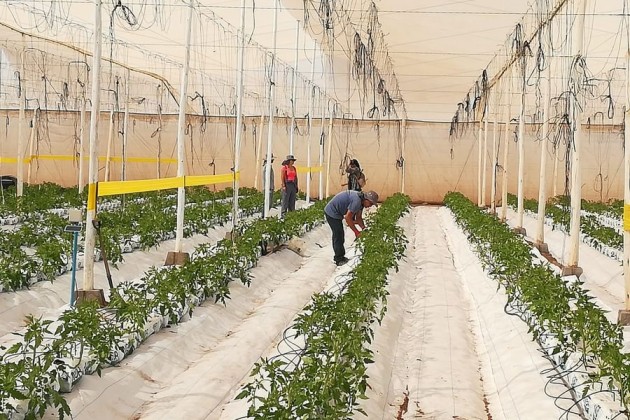 El proyecto en el norte que impulsa la agricultura del futuro