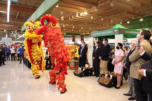 Kiwis chinos hacen su debut en el mercado chileno