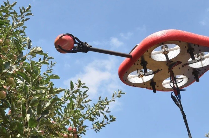 Innovación: Robot volador podría recolectar frutas y trabajar en el campo