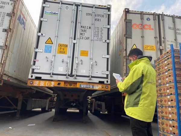Más de 7.000 contenedores de cerezas llegan al puerto de Hong Kong; la lentitud de los trámites aduaneros es un problema