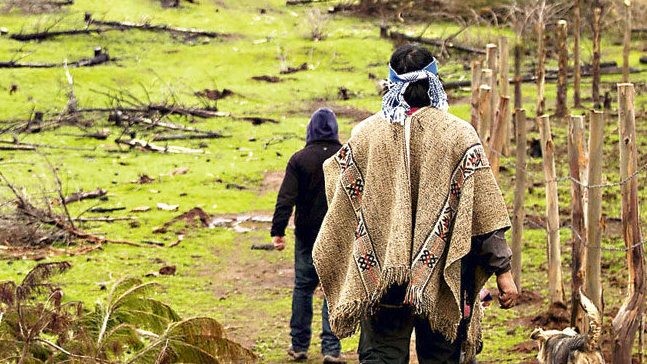 Gremios en alerta por aprobación de norma para restituir territorios indígenas