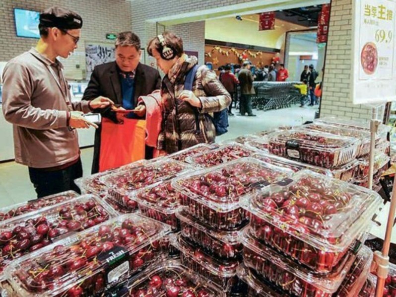 Exportadores de cerezas chilenas crean estrategia para atraer el mercado chino post Año Nuevo