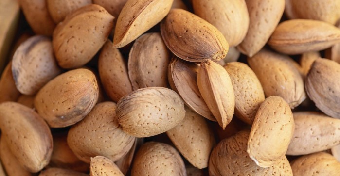 PRODUCCIÓN MUNDIAL DE ALMENDRAS ALCANZÓ LAS 1.59 MILLONES DE TONELADAS