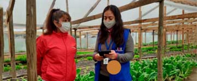 Resultados preliminares del VIII Censo Agropecuario y Forestal