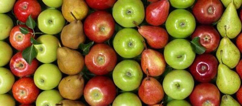 WAPA: Estimación a  la baja en la producción de manzanas y peras del hemisferio sur 